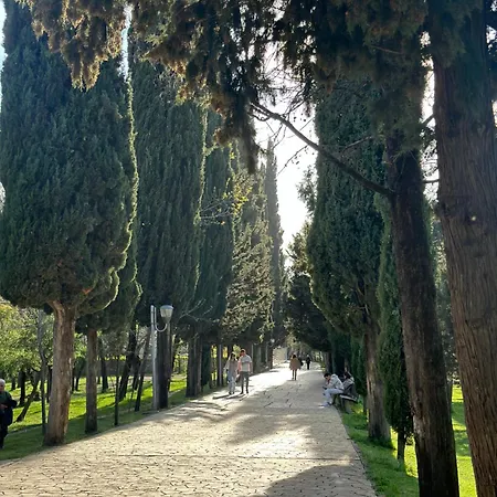 Spacious Near Park