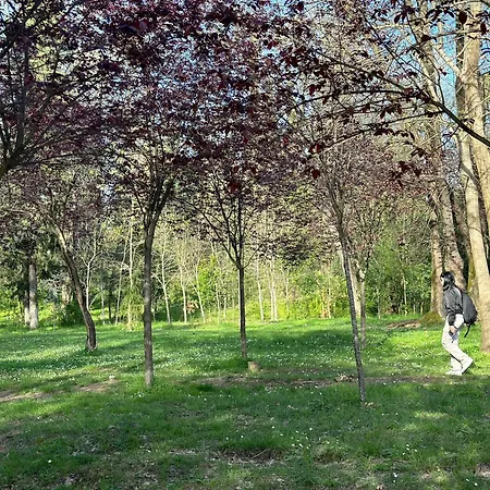 Spacious Near Park Tirana